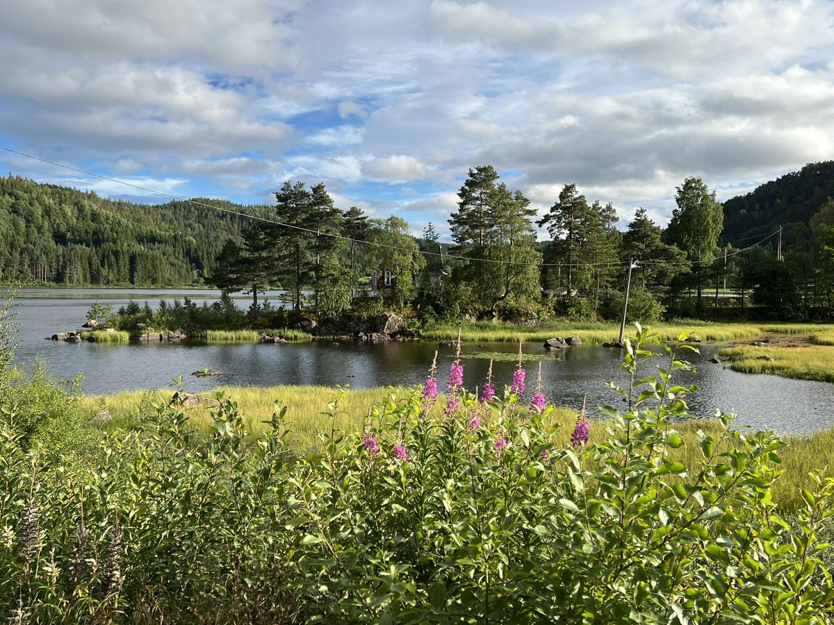 NicoleCzerwinka's tweet image. Sommerabend im Sørland … 🇳🇴❤️ #backathome #norwegen #norge
