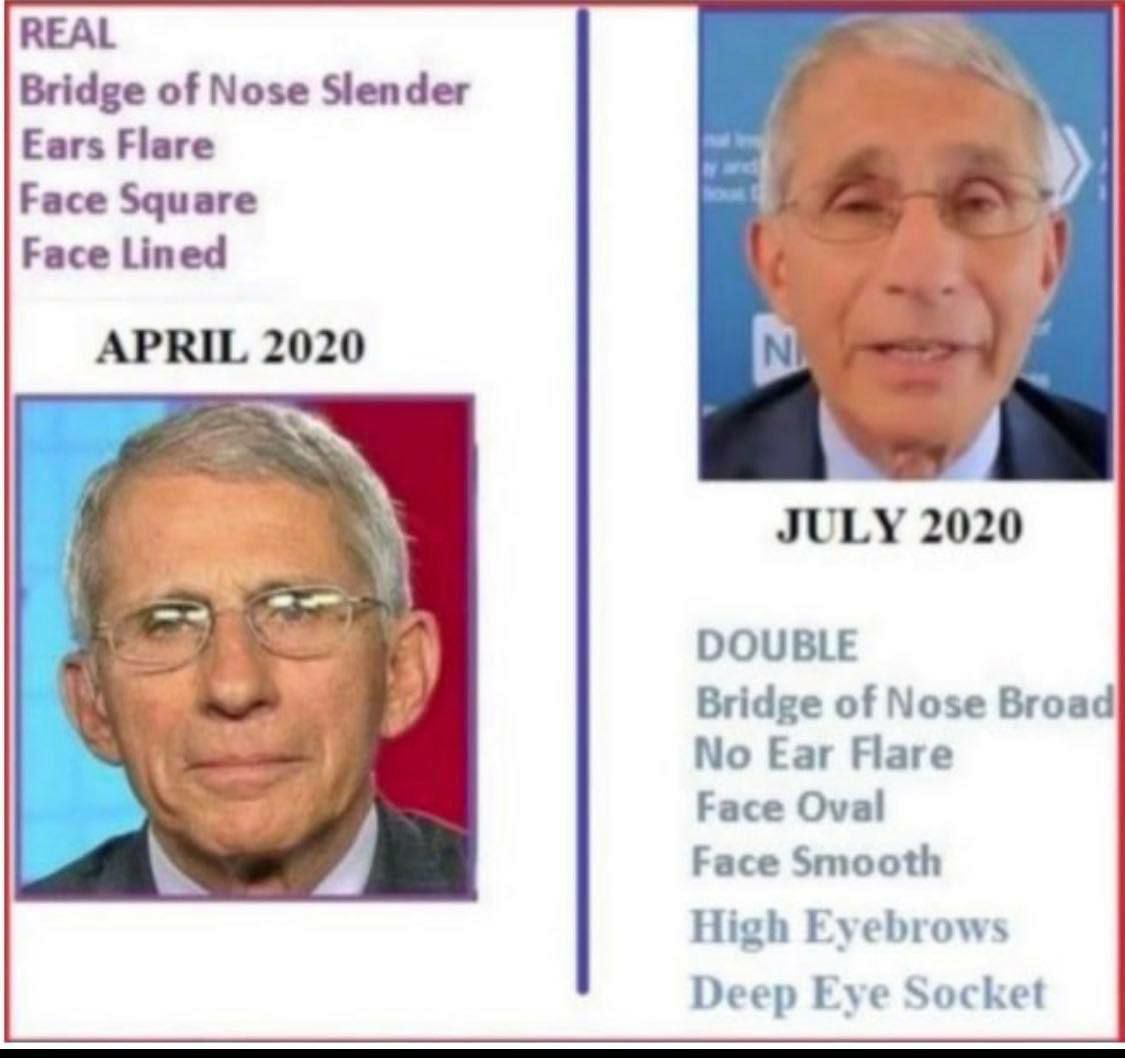 The Great Anthony Fauci  - Page 3 FYnGdstX0AAPZXR?format=jpg&name=medium