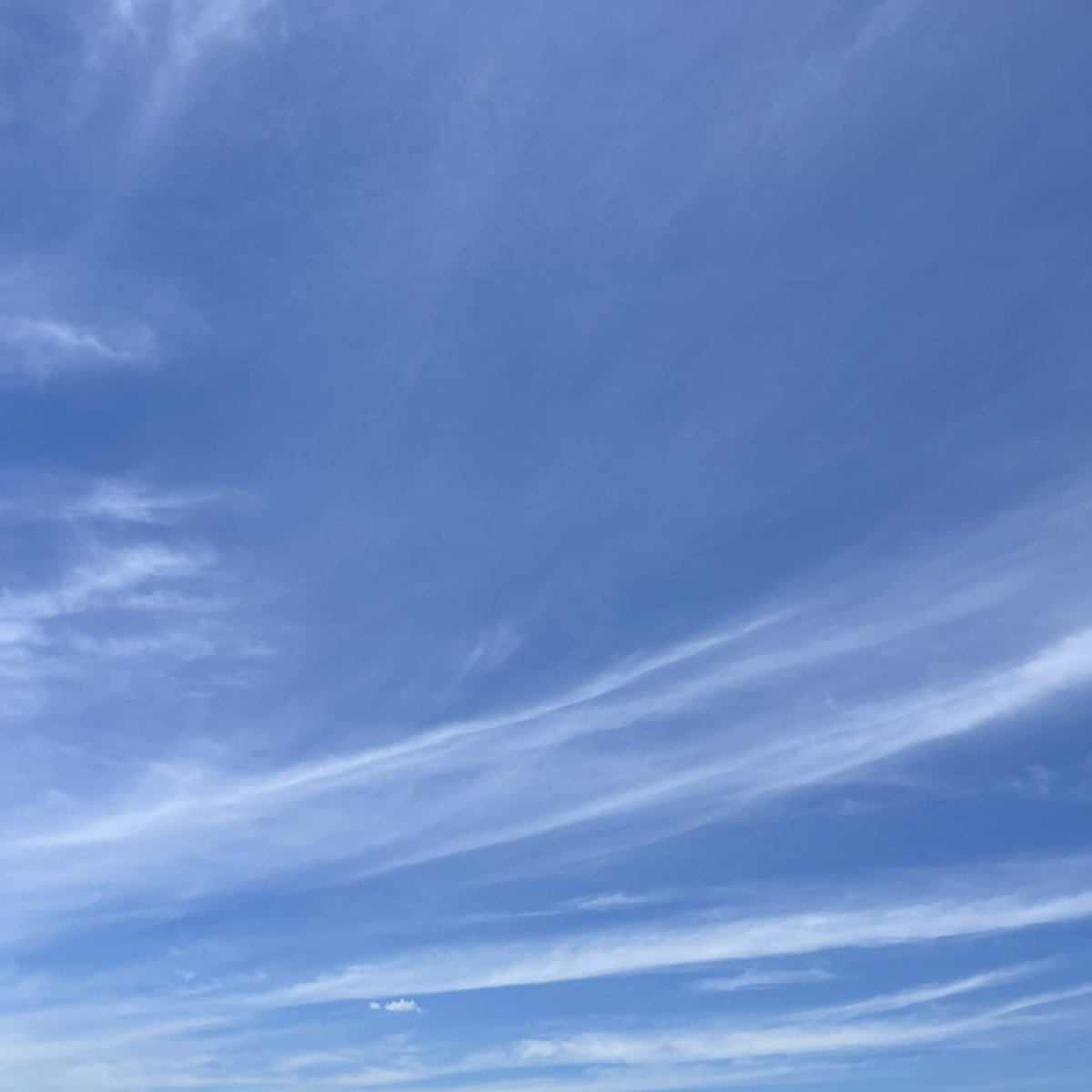 Thurows's tweet image. Enough with the heat Texas, 93 is starting to feel comfortable.