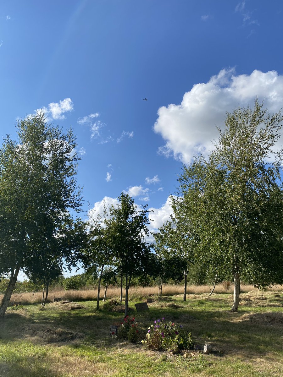 A little bit baked at BCW this afternoon!