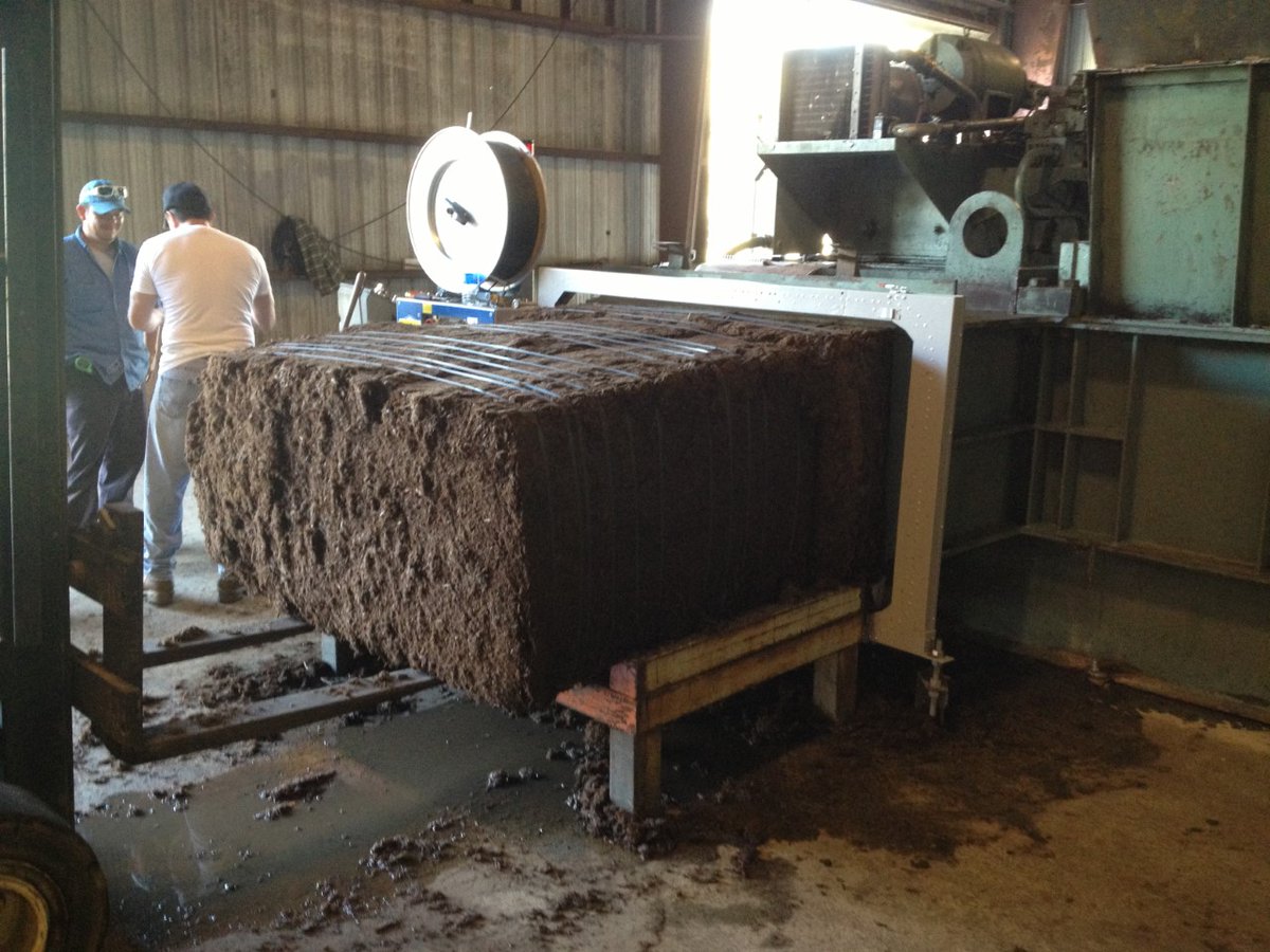 I am helping my friends restart a small factory in Louisiana that repurposes waste sugarcane stalks into cattle feed to help the ranchers combat drought. Sometimes the few can help the many. @Dr_Jamaloodeen @MrDylonDuPlooy #txtmtribe #ifus #feedtheworld #savetherancher