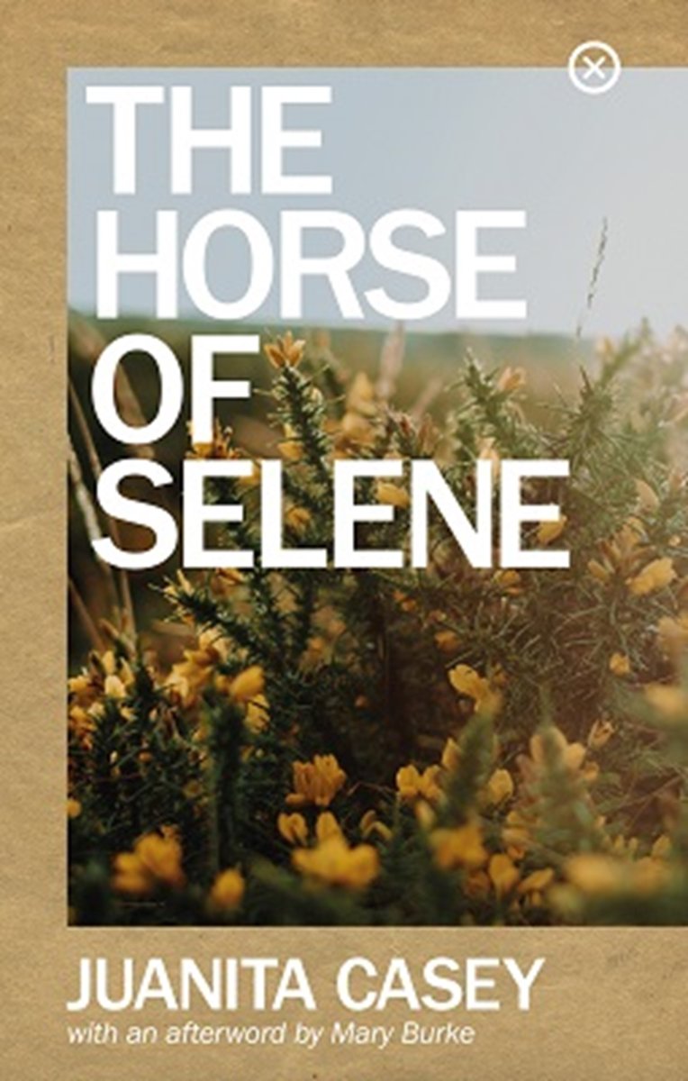 IASIL 2022 (@iasil_2022) on Twitter photo Join us tomorrow, Wed, at 1.00pm for the wine reception and launch of Juanita Casey's The Horse of Selene <a href="/TrampPress/">Tramp Press</a>, and interview with <a href="/deirdre_flynn/">deirdre flynn</a> and <a href="/DrMaryBurke/">Mary Burke</a>. <a href="/IASIL3/">IASIL</a> <a href="/iasilpostgrads/">IASIL Postgraduates</a> <a href="/SEIC_UL/">Scoil na Gaeilge, an Bhéarla, & na Cumarsáide</a> Join us tomorrow, Wed, at 1.00pm for the wine reception and launch of Juanita Casey's The Horse of Selene <a href="/TrampPress/">Tramp Press</a>, and interview with <a href="/deirdre_flynn/">deirdre flynn</a> and <a href="/DrMaryBurke/">Mary Burke</a>. <a href="/IASIL3/">IASIL</a> <a href="/iasilpostgrads/">IASIL Postgraduates</a> <a href="/SEIC_UL/">Scoil na Gaeilge, an Bhéarla, & na Cumarsáide</a>