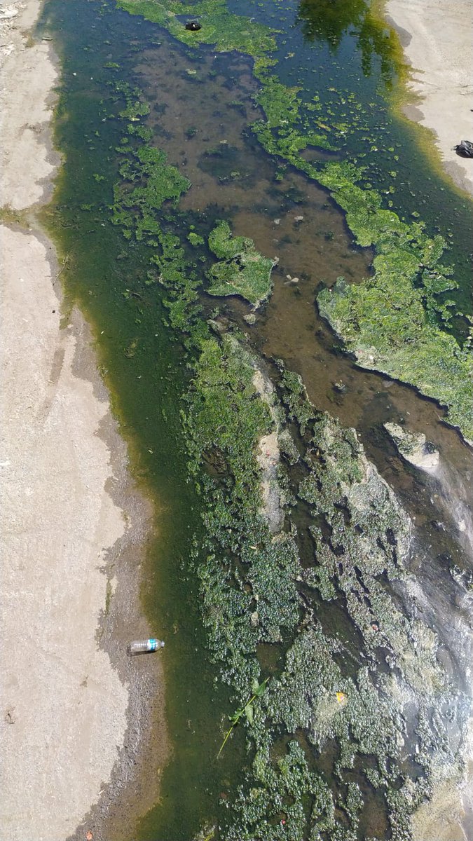 Zeytinburnu çırpıcı parkı .lağım akıyor.#TekeTek