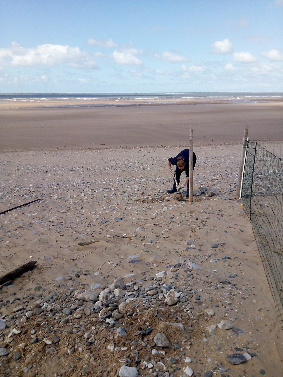 Spending time #volunteering over at <a href="/GronantTerns/">Gronant Little Terns</a> is good for my #Wellbeing in many ways I believe