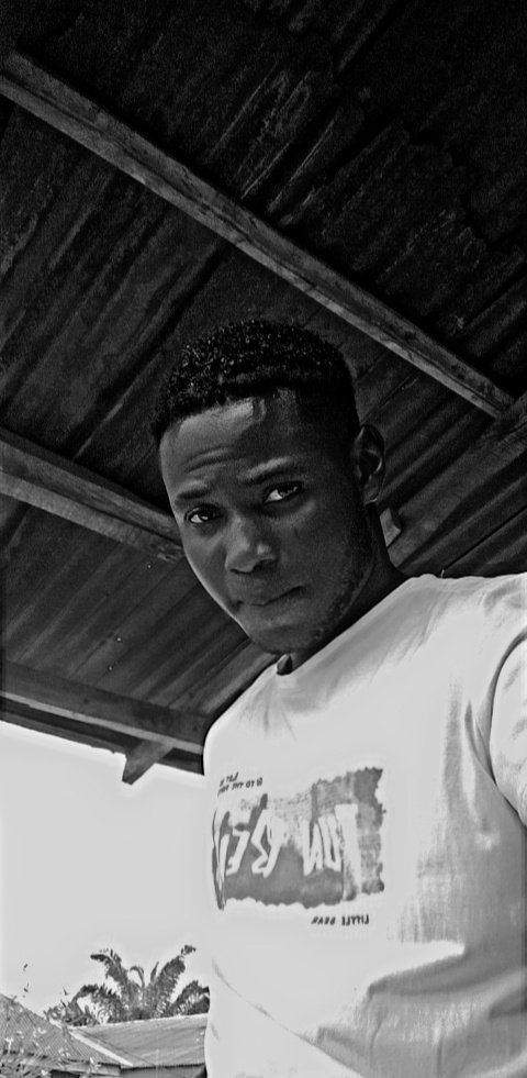 DMORNINGSTAR121's tweet image. We all live under the same sky,
 But not the same Horizon👌.