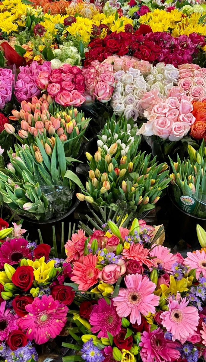 ciceklendirdik's tweet photo. 🌸🌷🌺 https://t.co/D95mCSjDAg