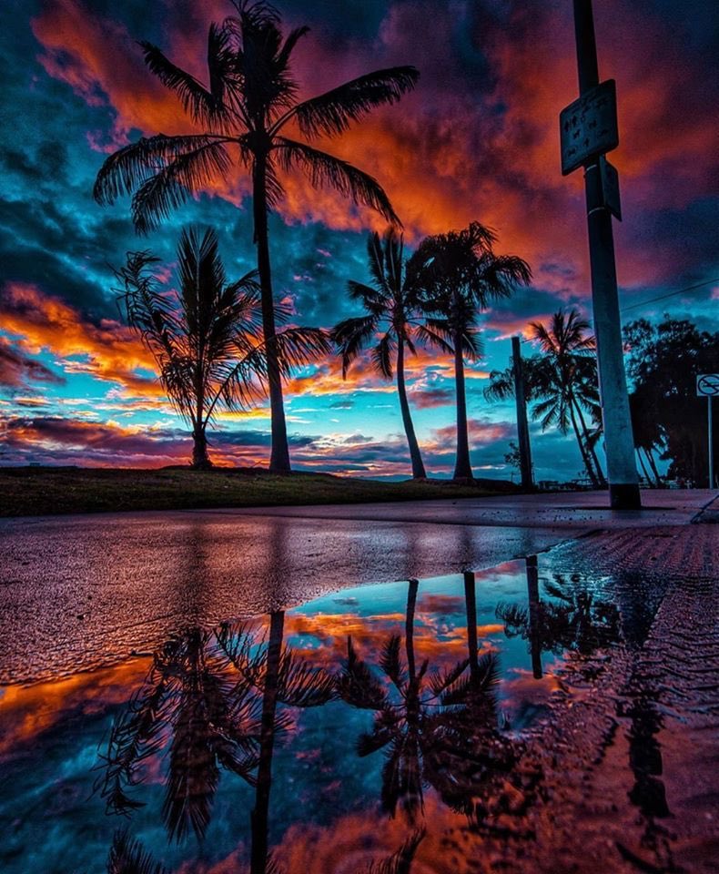 tiggylea's tweet photo. 💙🌴❤️   Tropical sunset   ❤️🌴💙 https://t.co/yYTUV3rKie
