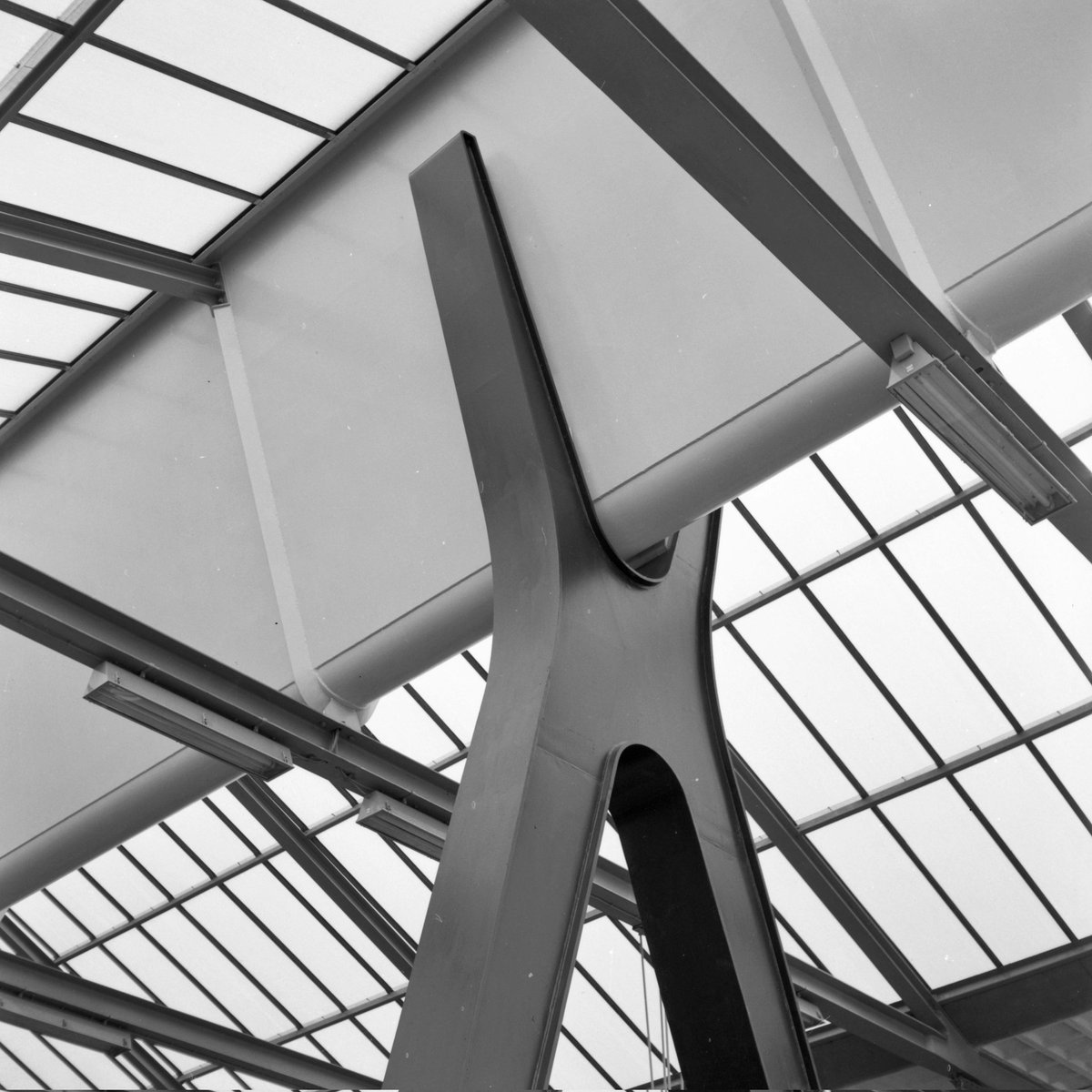 Martjan Kuit tweet media