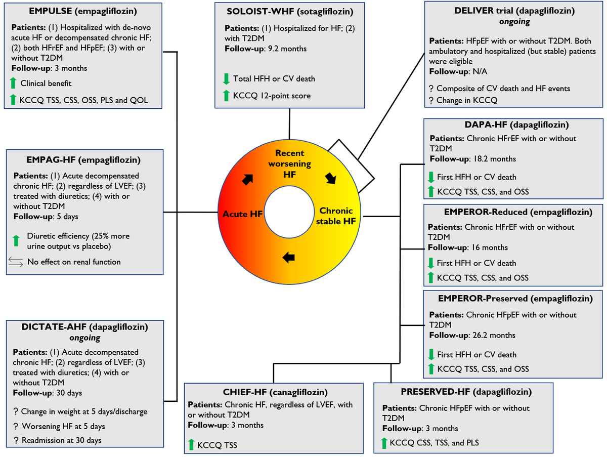 In this editorial, @JavedButler1 and I discuss how the role of SGLT2 inhibitors has evolved from diabetes drugs to all-round HF therapy Congrats @MkosiborodMD and @PCSchulzeMD for imp work in this issue of @CircAHA on use of SGLT2 inhibitors in acute HF ahajournals.org/doi/10.1161/CI…