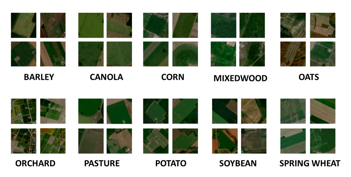 robmarkcole's tweet photo. Dataset discovery: The Canadian Cropland Dataset is a a novel patch-based dataset compiled using optical satellite images of Canadian agricultural croplands retrieved from Sentinel-2 https://t.co/NhuOdDEQGZ https://t.co/TchC76DdpH