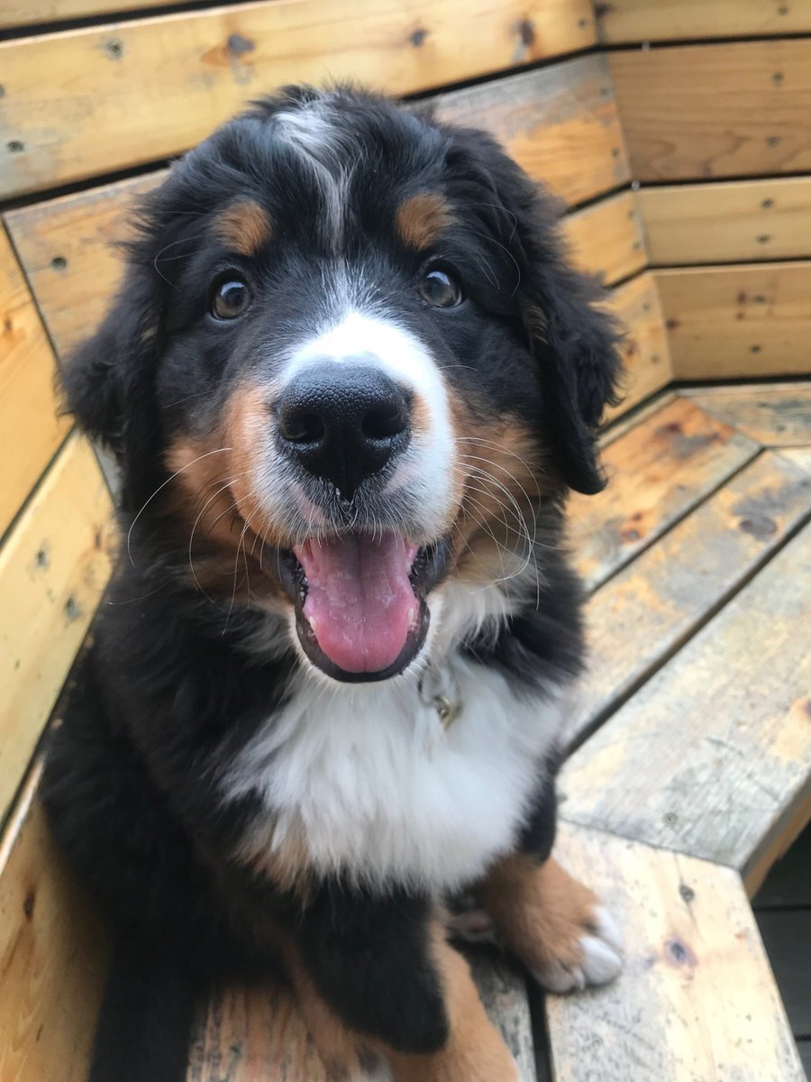 Amazon Photos tweet media