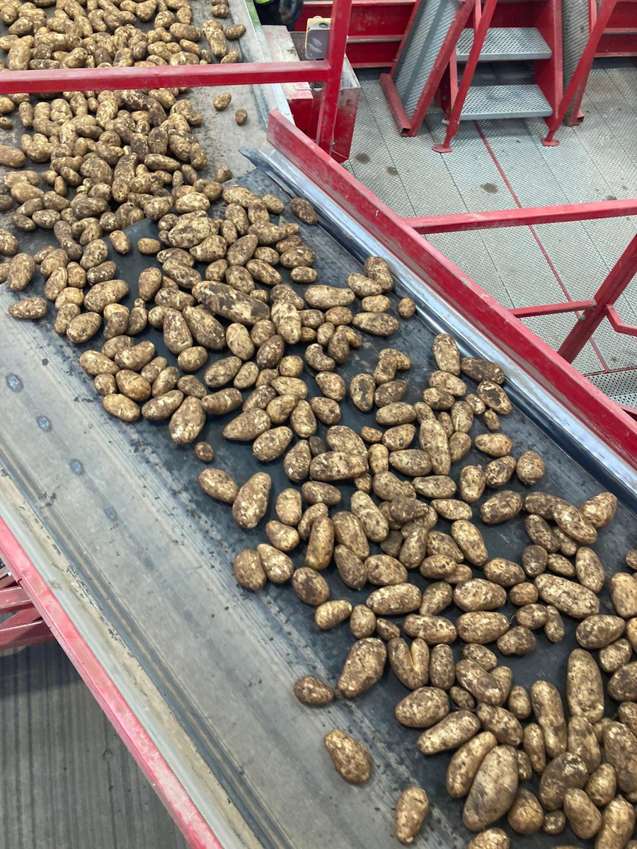 Xxx SeX PorN tweet media