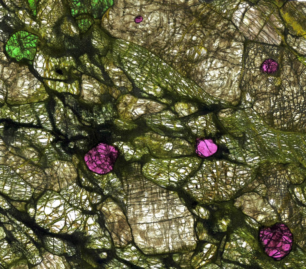 Section cut through a lherzolite from the Earth’s mantle. Magenta pyrope garnet and green clinopyroxene. Stained glass vibes.