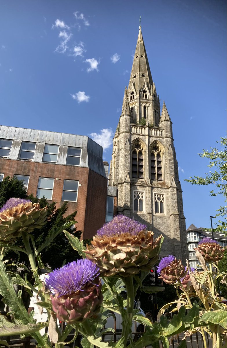 Bridge House Pond, Feltham tweet media
