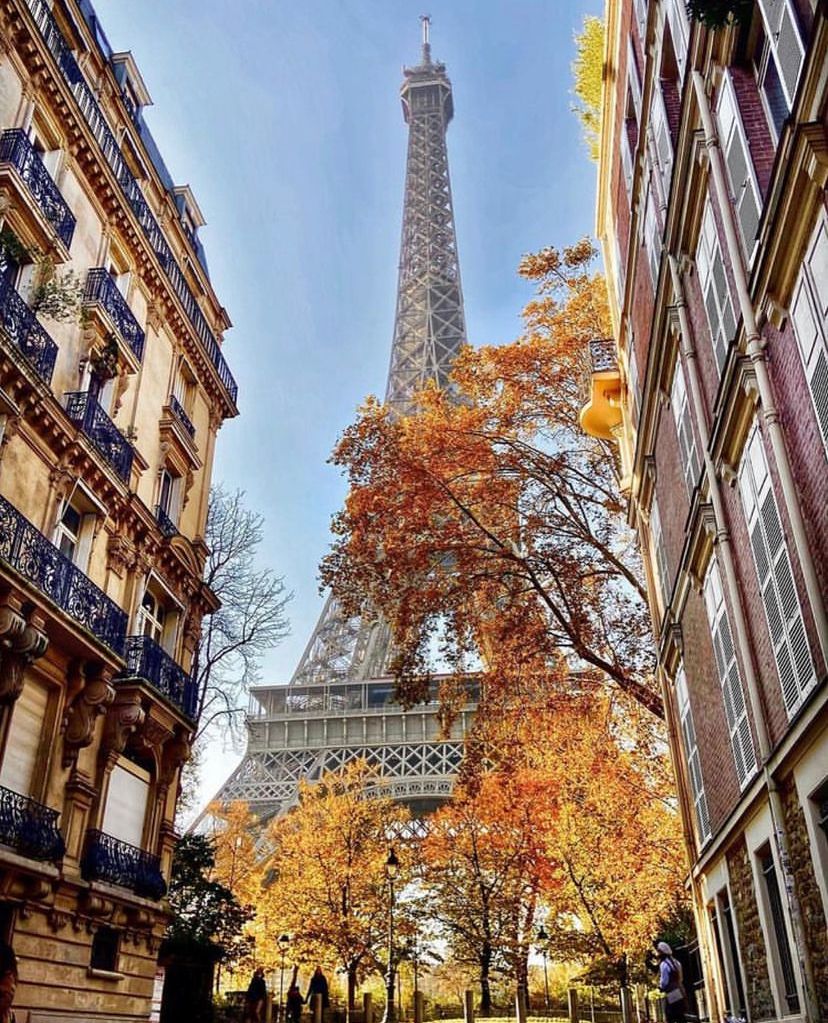 📌Witness the #CityofLights at its best from a whopping 276m from the ground! Create unforgettable memories as you ascend to the top floor of the iconic #EiffelTower.

👉ow.ly/3LlB50K4trm