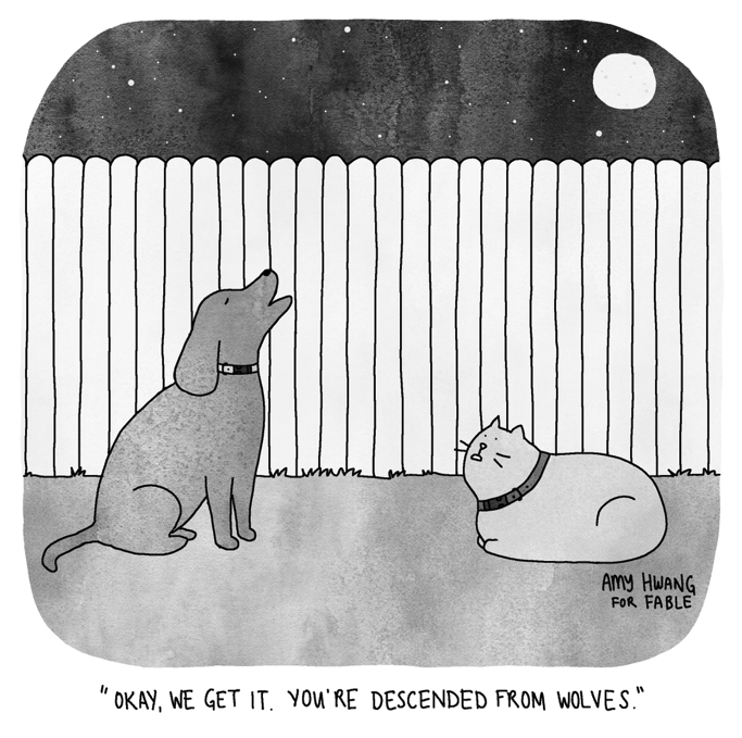fablepetbrand's tweet photo. Some cartoon "cattitude" for #InternationalCatDay https://t.co/k6pu7SDoIp