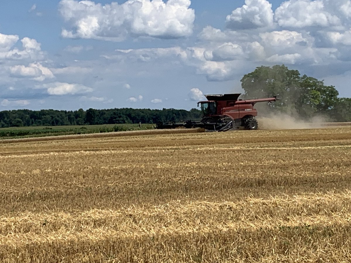 dspencer307's tweet photo. Spending time in the #Kerwood #plot22 today with @DanVanek @ParrishHeimbeck #ontag Big thanks to one of our locals to help with #harvest https://t.co/yYmKjBNFwa