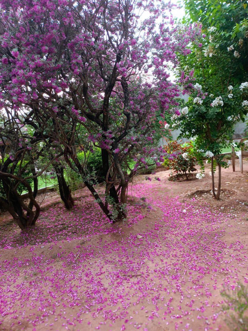 موسم بدلا، رُت گدرائ۔۔۔