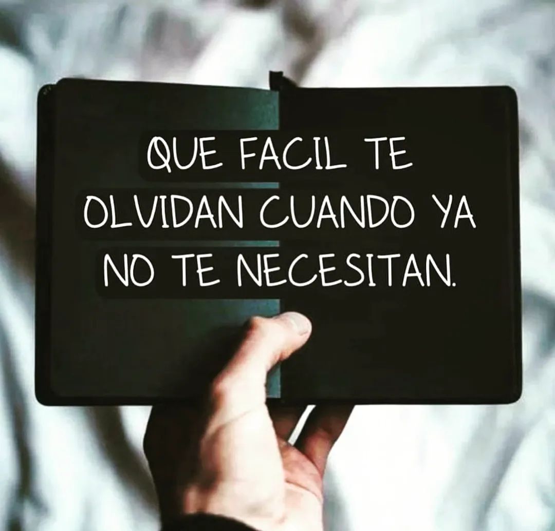 INDIRECTAS ✨ (@lndlrecta) on Twitter photo 