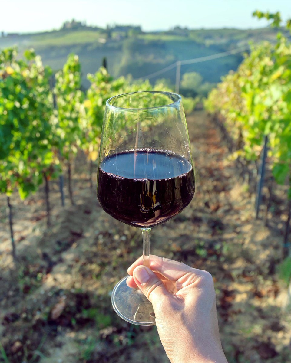 WineCollective's tweet photo. Take a journey in #wine and explore the wines of Chile. 
Did you know Chile is one of the few wine #regions that was not plagued by #phylloxera? Learn this and other facts about the wines of Chile as you read our blog!  
➡️ https://t.co/1QL7YEBrQA

#chile #ajourneyinwine https://t.co/w85sWmvFLu