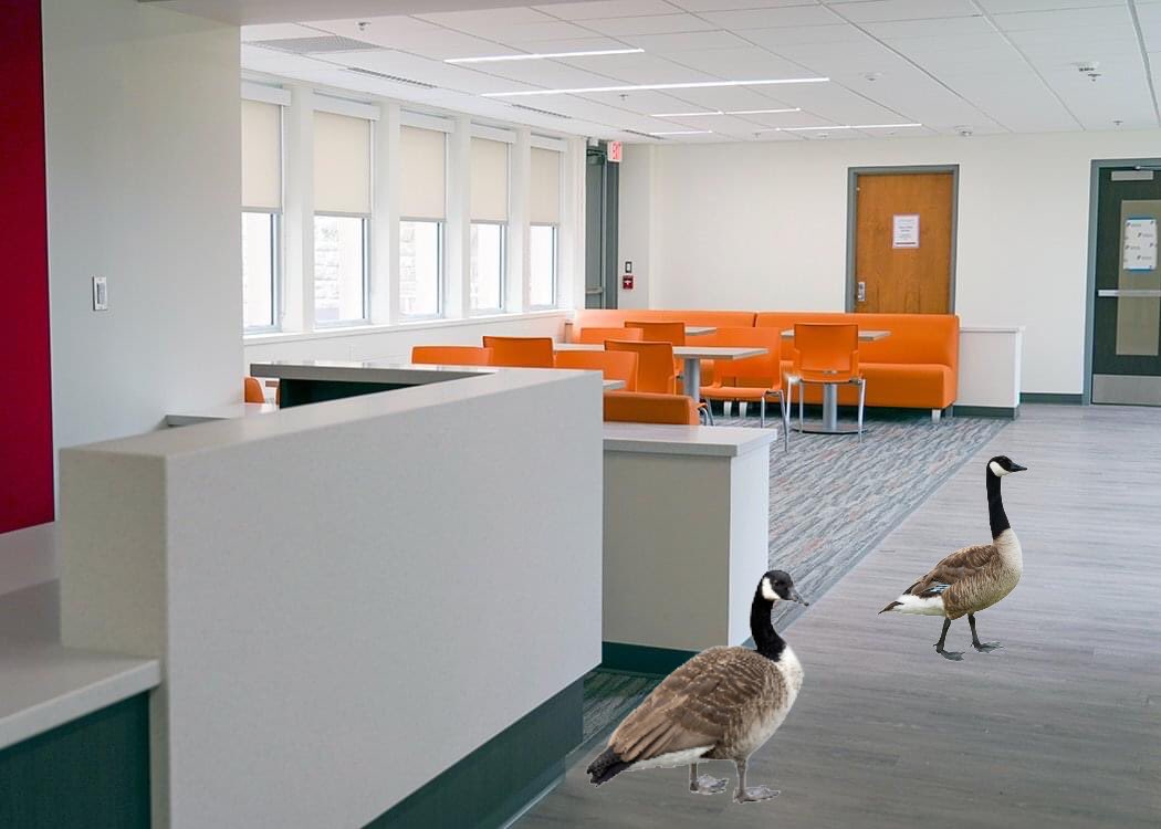 Miller is our world now, you’re just living in it…