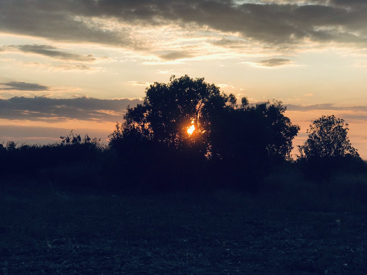 lindagabriel263's tweet photo. Kutama sunset! #zvimba #home https://t.co/0CKjpNGMBk