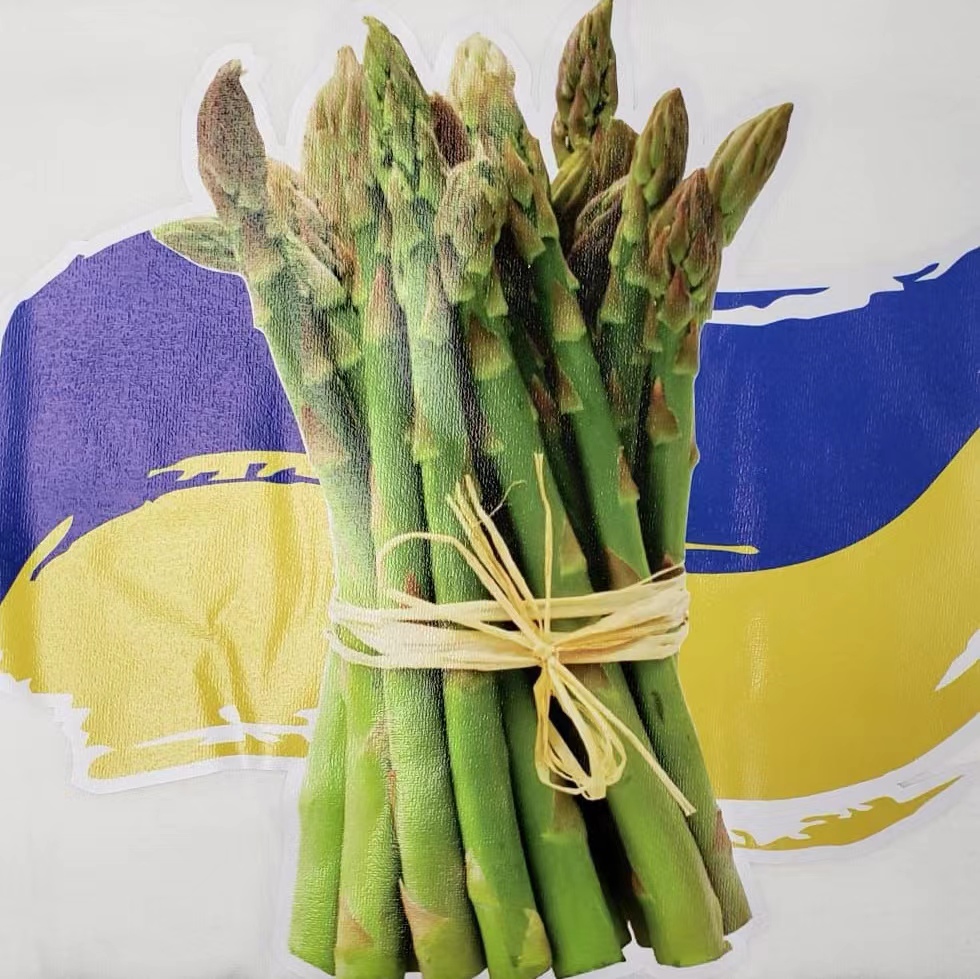 We'd like to thank our customer, Yuri, from #Ukraine for the unique plaque and T-shirt sent from the battle ground. Peace lies in the hearts and minds of all of us. Our heartfelt wishes go out to all of our #asparagus growers and their families in Ukraine.