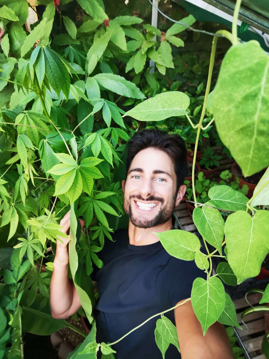 Chris Thorogood tweet media