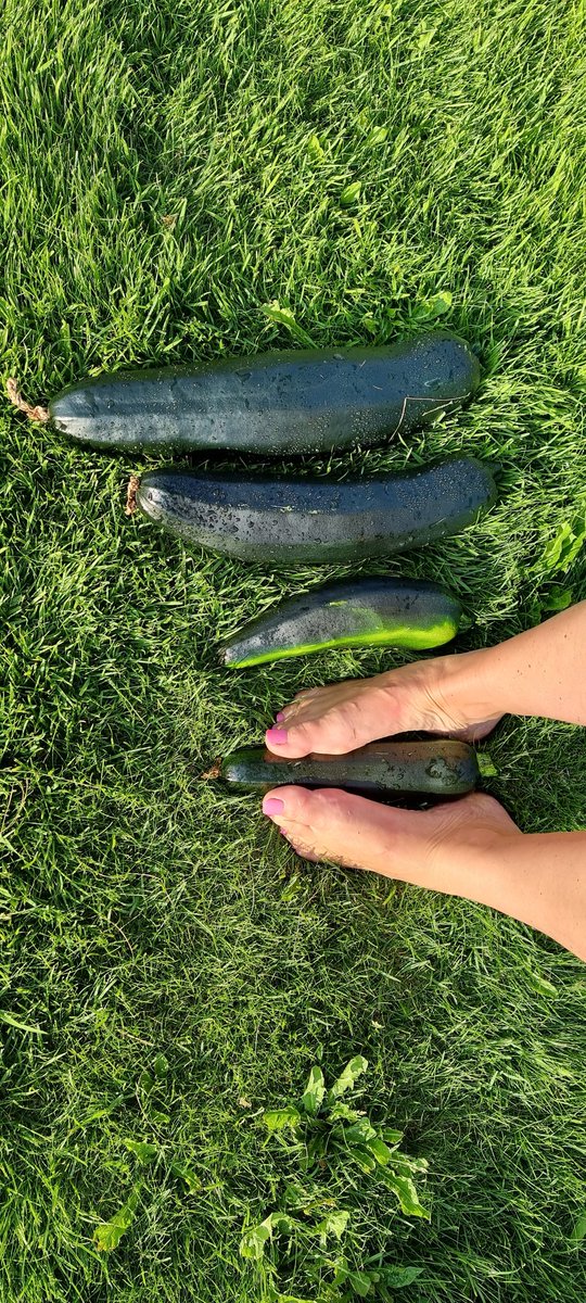 wonderlyfeet's tweet photo. My garden grows ♥️ 

#feet #garden #zucchini #squash #feetlover #footqueen #feetfinder #footlover https://t.co/jyGXwI3jOy