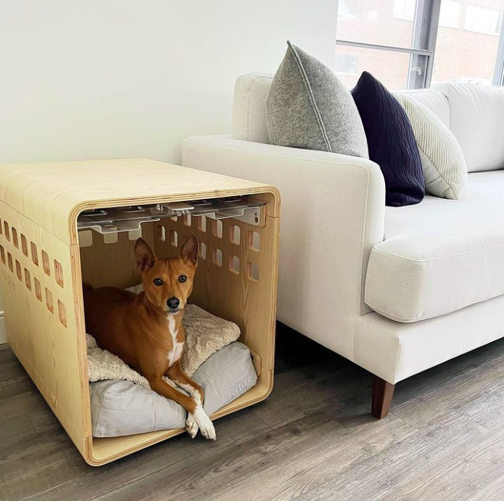 fablepetbrand's tweet photo. "It’s a tough housing market out there. Finally settled on this one bed no bath, newly constructed home, made with richly appointed features and materials, thanks to the help of @fablepets! Conveniently located in the downtown living room. Lousy neighbors tho" - @bailythatb https://t.co/JJ0jxPJHFw