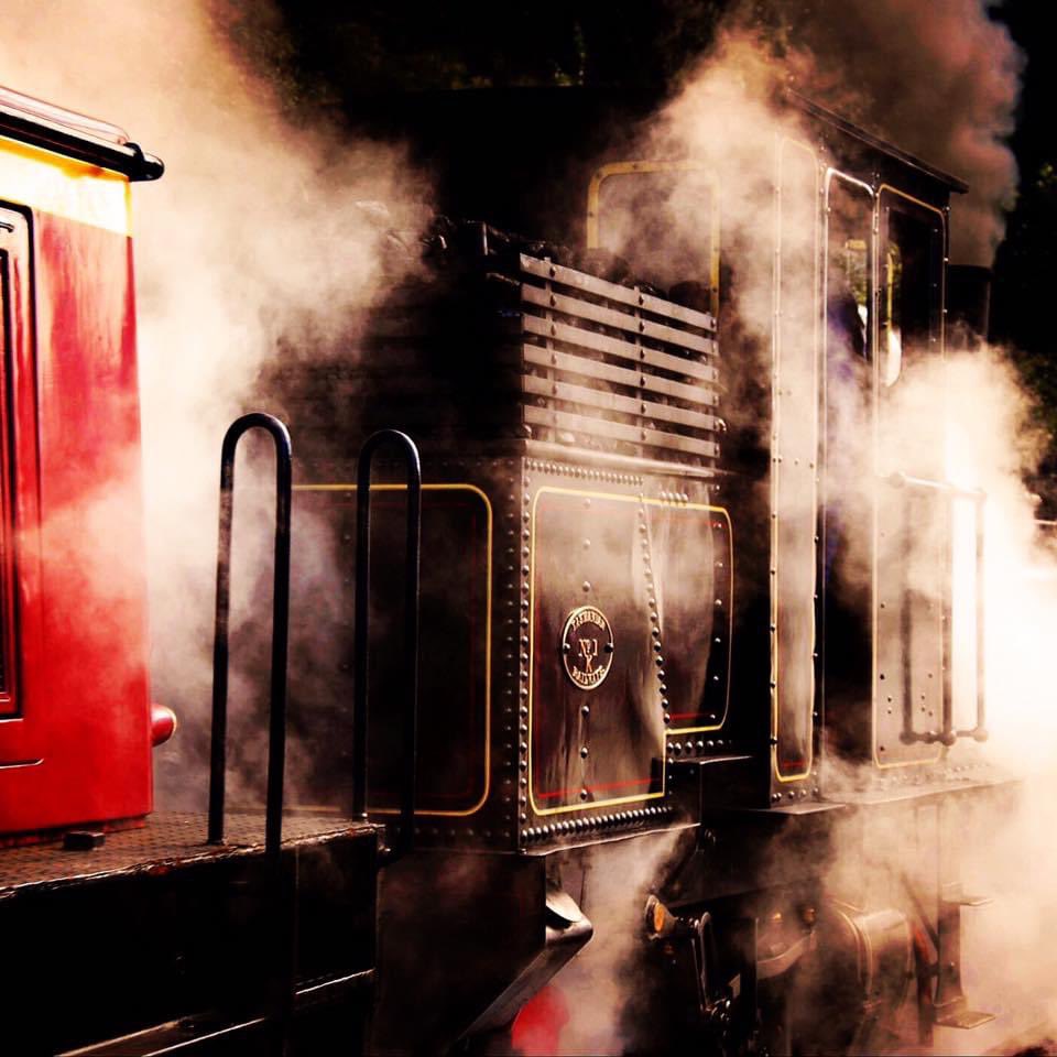 lluniaurich's tweet image. Stemio allan o Gaernarfon 🏴󠁧󠁢󠁷󠁬󠁳󠁿