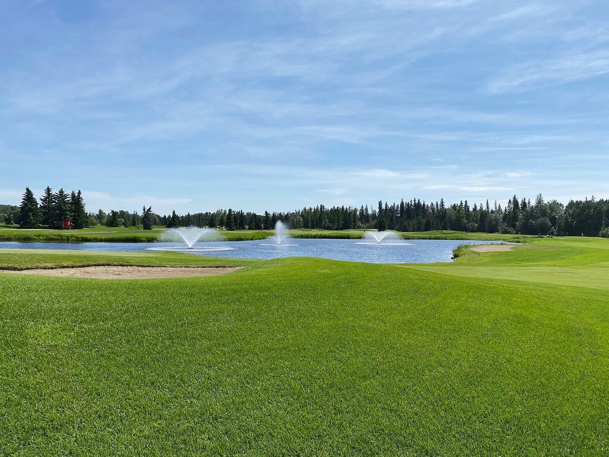 PetroleumGolf's tweet photo. Itโs a sunshine and lollipops kind of day here in P Club Paradise! Are you soaking up the sun out there today?
#epgcc #pclubpride #golflife #yeg #yeggolf #noballots #teetime https://t.co/DSr65g3HdV