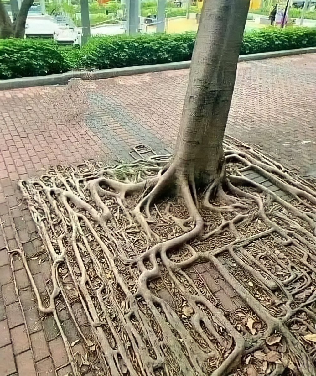 JOLLY J 2.0 ✨ (backup acc) (@powerful_imgs) on Twitter photo 