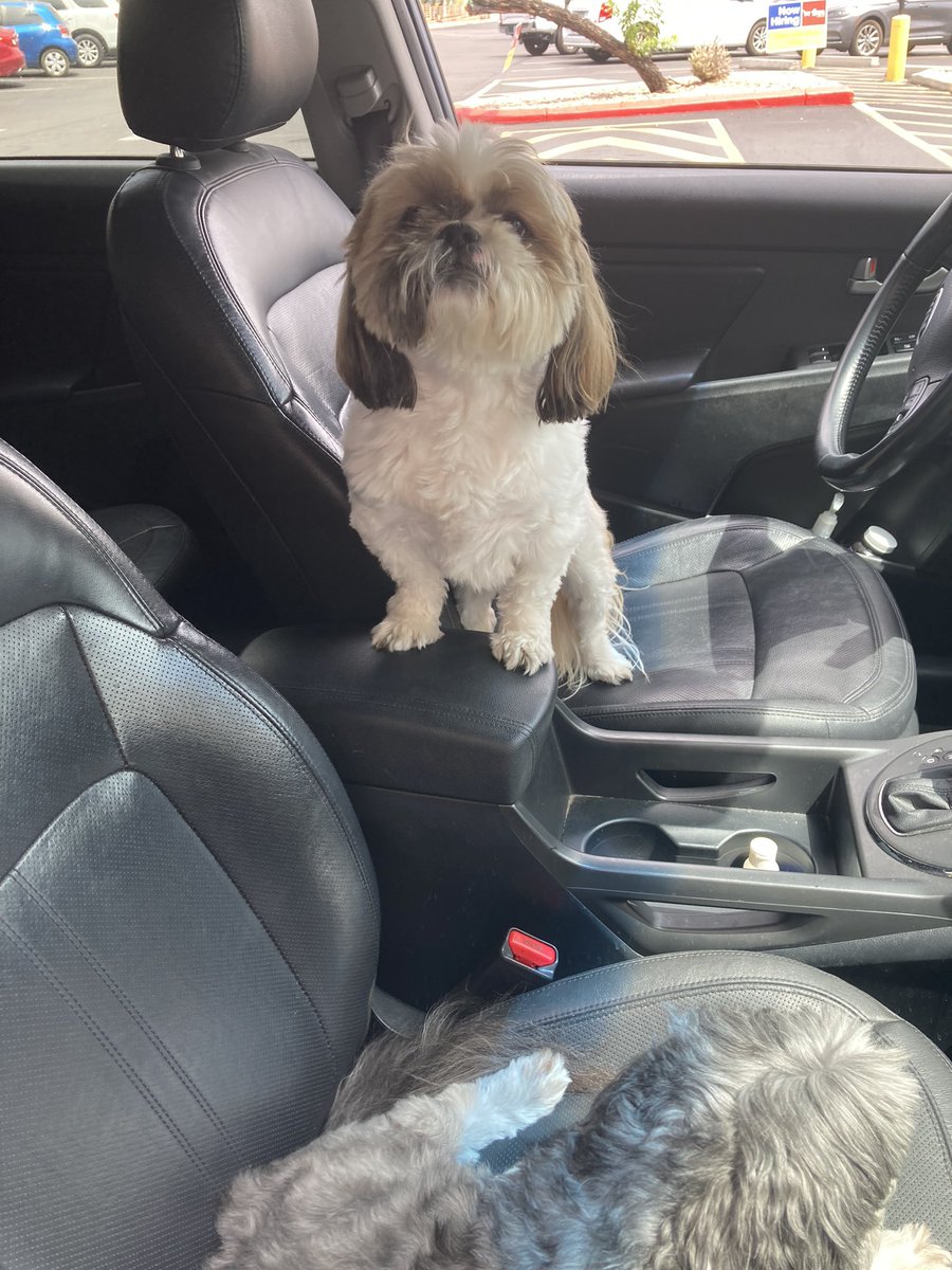 Where’s the keys?