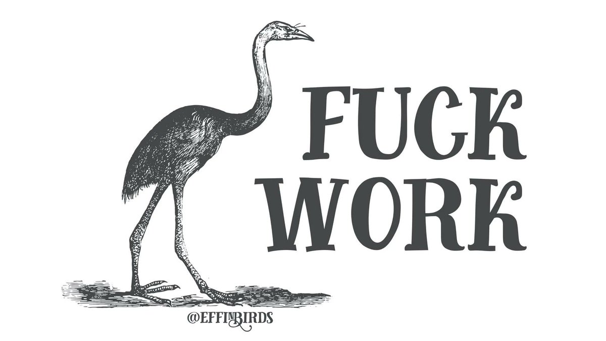 EffinBirds's tweet image. 