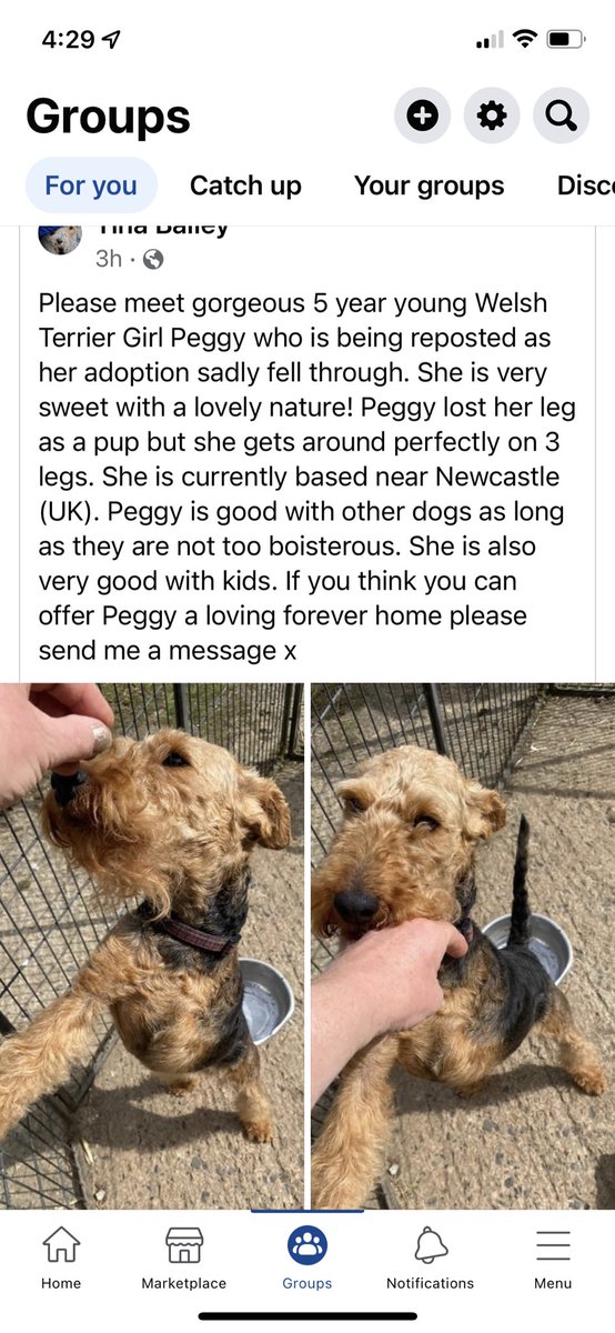 Anyone able to help this girl