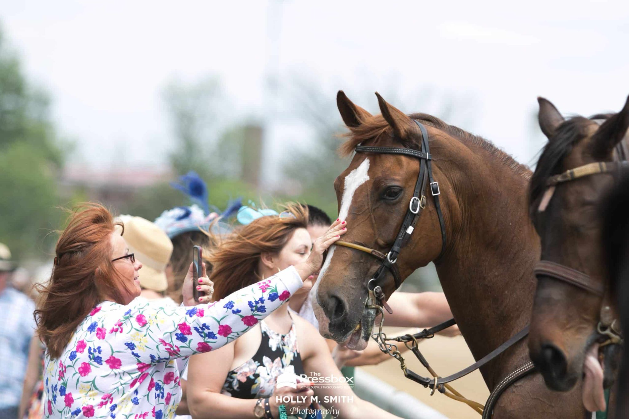 The Pressbox on Twitter "KY Horse Racing Commission Awards Quarter