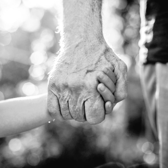 DYS_Sports tweet media