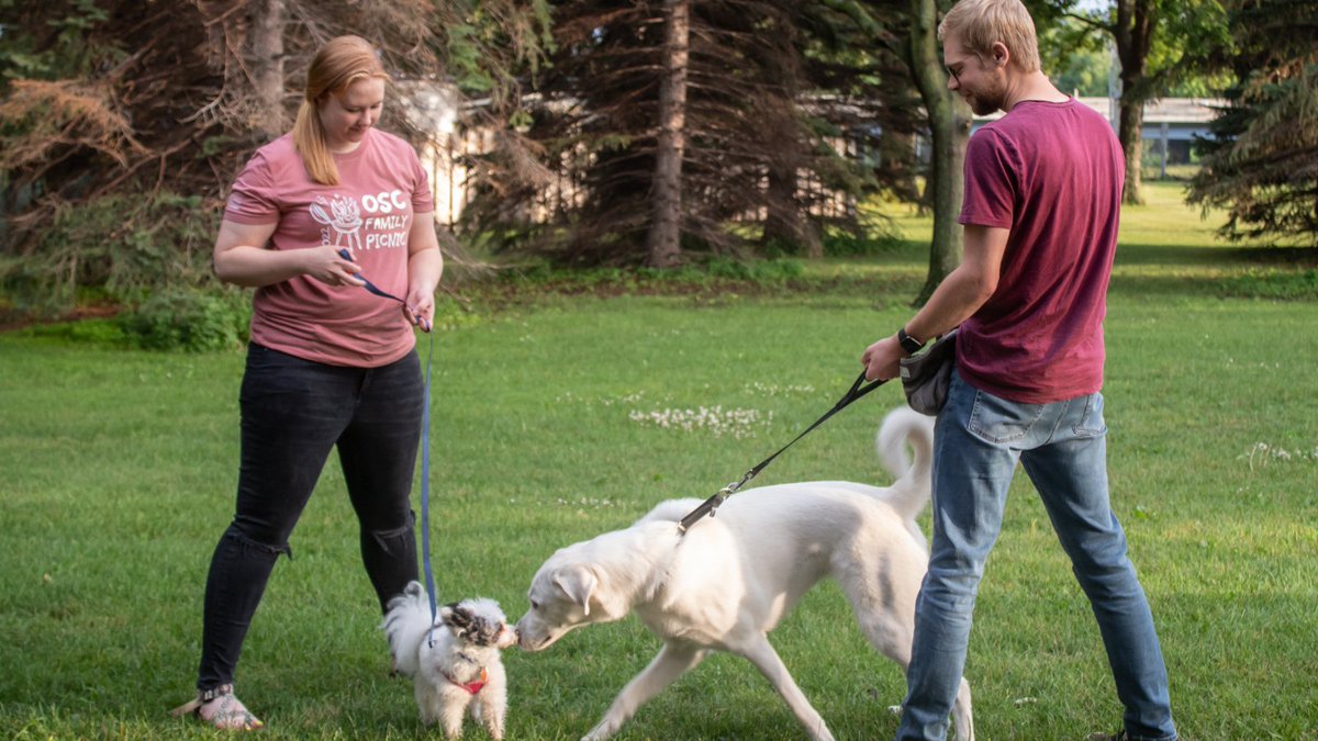 Office Sign Company tweet media