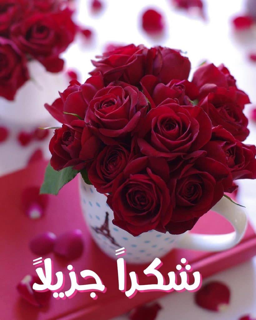 MMeshal666's tweet photo. @MhmDDham لك منّي كل الثناء والتقدير، بعدد قطرات المطر، وألوان الزهر، وشذى العطر، على جهودك الثمينة وال��يّمة. https://t.co/YxGUrTdZkm