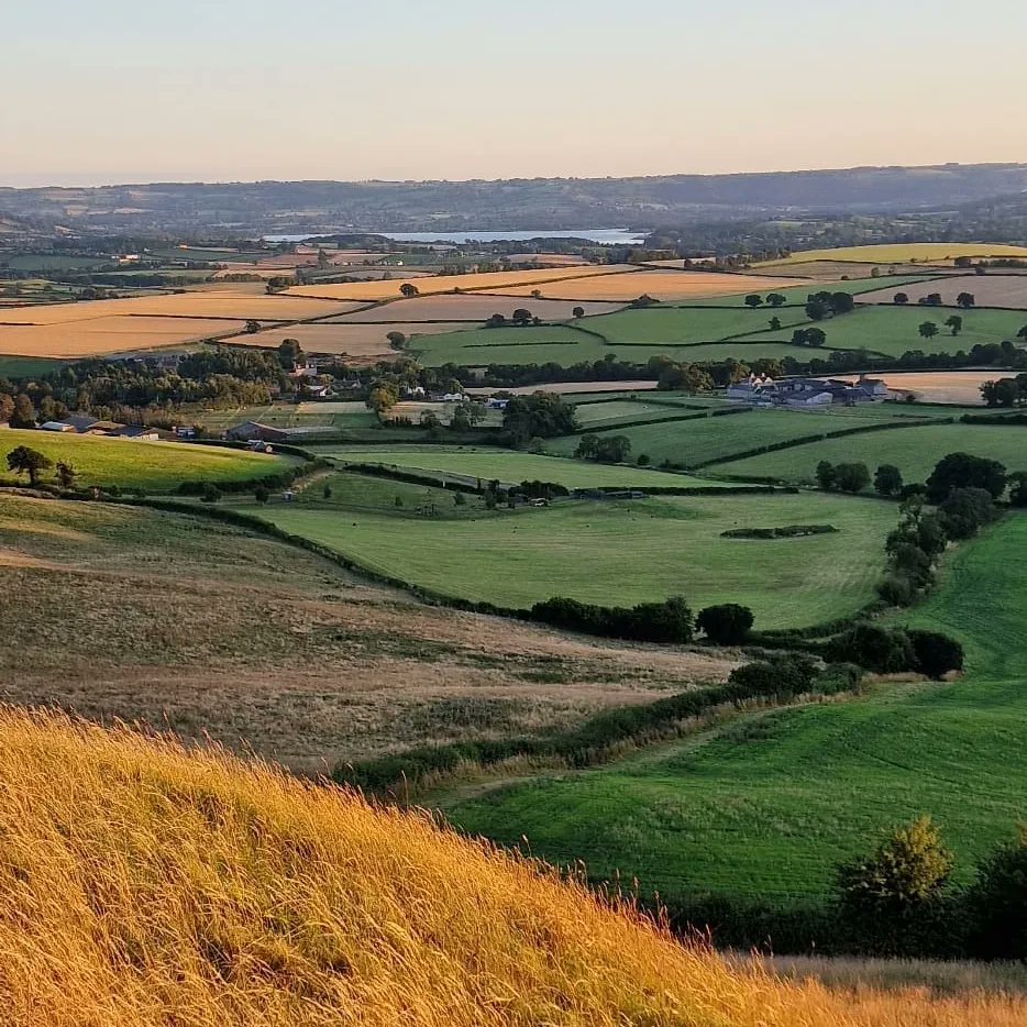 BrisStepSista's tweet photo. Beautiful sunset this evening, Dundry Hill 🌇😍
#solowalker https://t.co/SnecTN8aEv