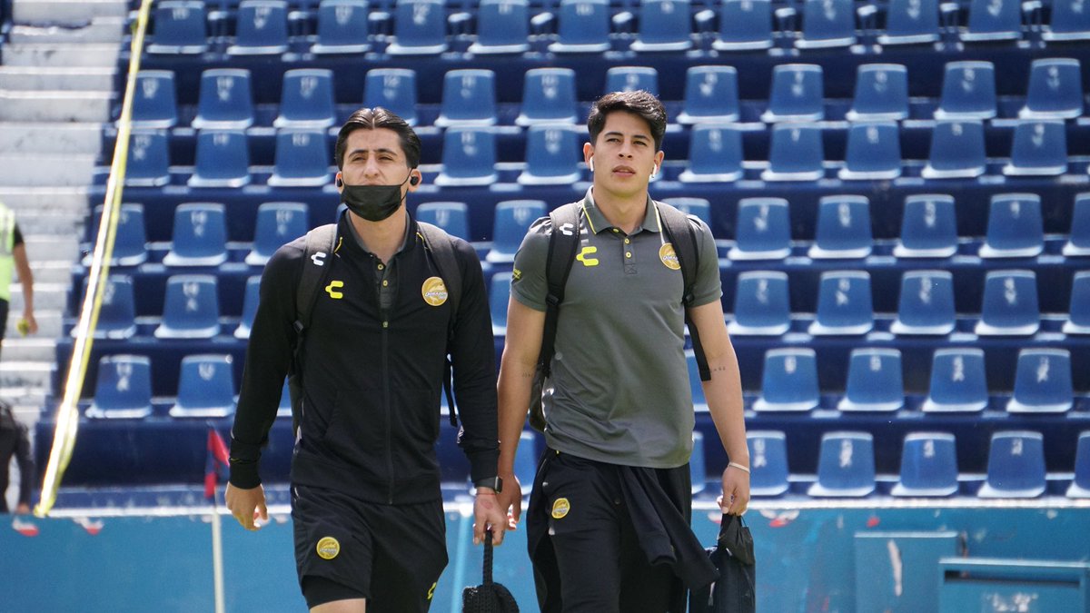 Dorados tweet media