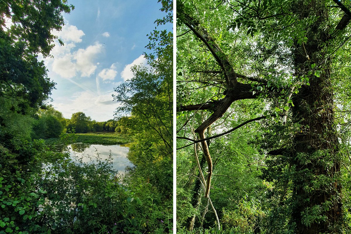 Gatwick's latest expansion plans will ruin Horley's Riverside Park - please object here: gatwickairport.com/business-commu…
Public consultation ends TOMORROW Wed 27th
#ProtectRiversidePark #KeepHorleyGreen #GatwickExpansion