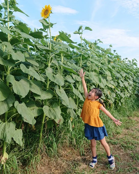 Twitterのコスプレ画像26