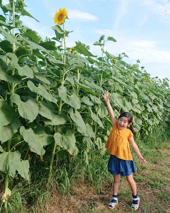 Twitterのコスプレ画像25