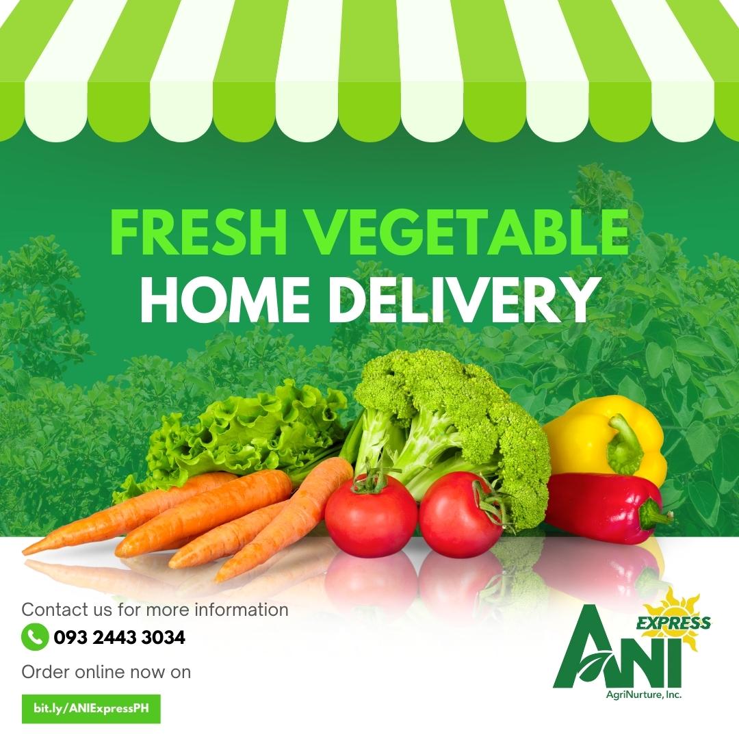 ani_express's tweet photo. Get your fresh fruit and vegetables delivered right on your door steps, it’s that easy! Its fresh, delicious and healthy!

Order via: 
💬https://t.co/fDPpBsjQdn
📲ANI Express site: https://t.co/fYpucSHewj https://t.co/iGs8QnJvc6