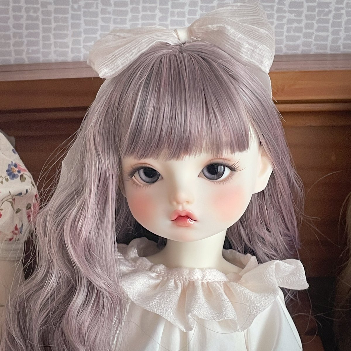 애기고양이 🥹