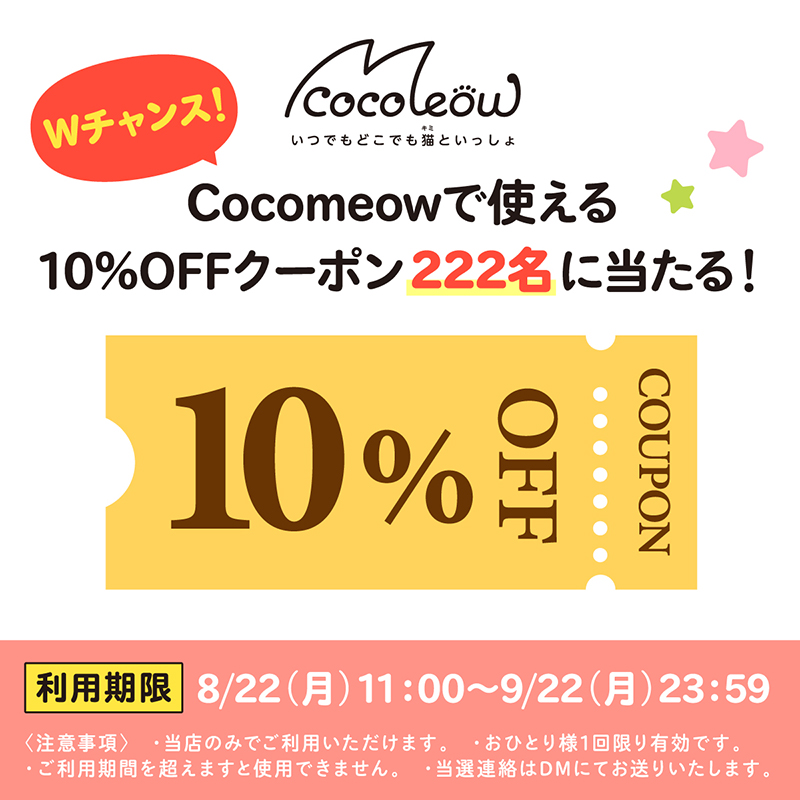 MeowEver_ptns's tweet photo. ／
コラボ第3弾！フキダシ妄想コンテスト
豪華3にゃんミニボトルが当たる！🎁
＼
あずきさんにお祝いしてもらったよ🎉
どんなセリフ入れる？

▼応募方法
1⃣この投稿をRT
2⃣このアカウントをフォロー
3⃣このツイートへの返信で、フキダシに入るセリフをツイート
4⃣当選連絡はDMにて
※応募は1人1回限り https://t.co/4kNUuJ2QyX