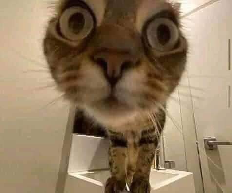 Glittery_Fuck's tweet image. // lately i been seeing a lot of people who get stressed because they can't reply roleplays for hours

Bro chill out, we know you have live. You are doing this for fun. Take all the time you need buddy, people will still be here when you come back. Have fun