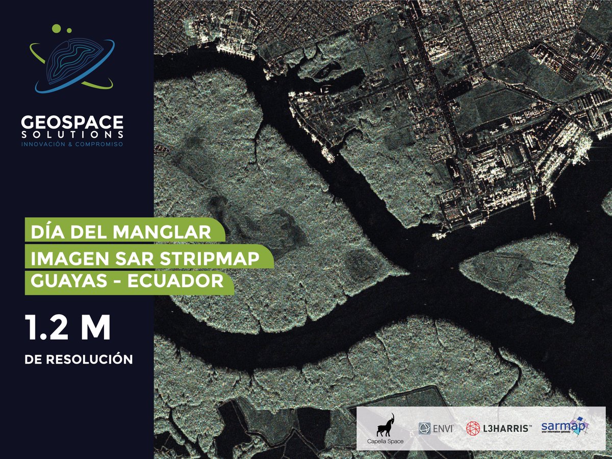 GeoSpaceSol's tweet photo. Por el Día del #Manglar hemos capturado una imagen #SAR #Capella sobre la ciudad de #Guayaquil procesada en el software #ENVI #SARscape, la respuesta del radar permite identificar claramente la vegetación de este ecosistema único en el mundo de alto valor ecológico y económico. https://t.co/H0OrFmCxfp